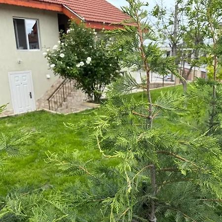 за гости - девня Gæstehus Devnya